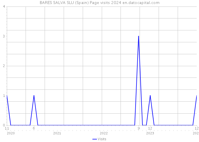 BARES SALVA SLU (Spain) Page visits 2024 