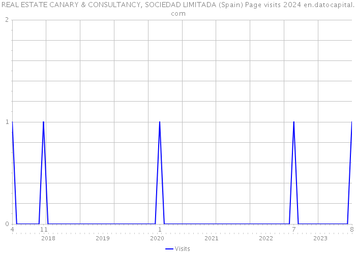 REAL ESTATE CANARY & CONSULTANCY, SOCIEDAD LIMITADA (Spain) Page visits 2024 