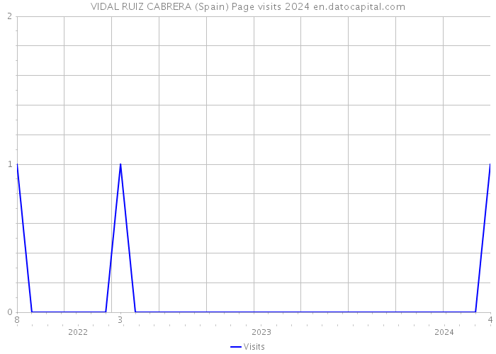 VIDAL RUIZ CABRERA (Spain) Page visits 2024 