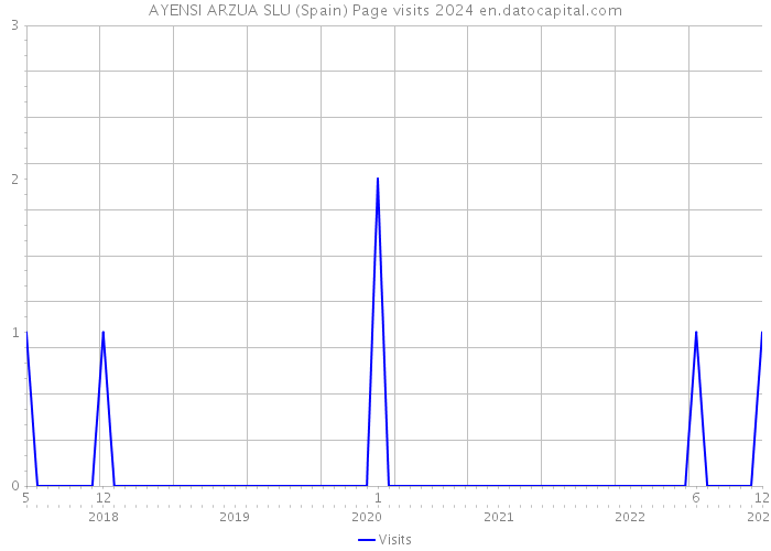 AYENSI ARZUA SLU (Spain) Page visits 2024 