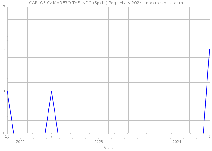 CARLOS CAMARERO TABLADO (Spain) Page visits 2024 