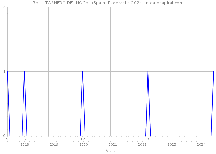 RAUL TORNERO DEL NOGAL (Spain) Page visits 2024 