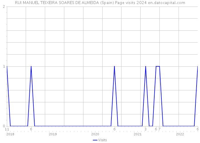 RUI MANUEL TEIXEIRA SOARES DE ALMEIDA (Spain) Page visits 2024 