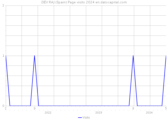 DEV RAJ (Spain) Page visits 2024 