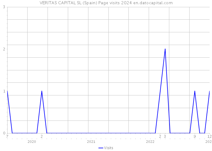 VERITAS CAPITAL SL (Spain) Page visits 2024 