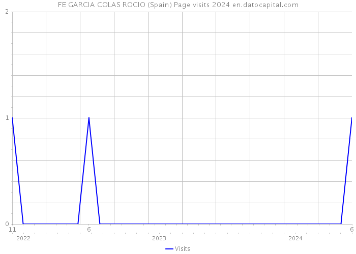 FE GARCIA COLAS ROCIO (Spain) Page visits 2024 