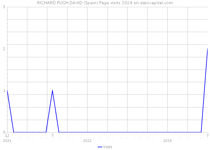 RICHARD PUGH DAVID (Spain) Page visits 2024 