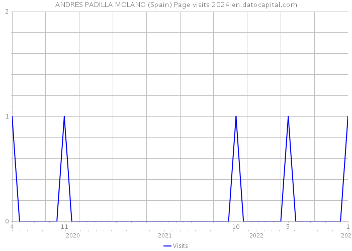 ANDRES PADILLA MOLANO (Spain) Page visits 2024 