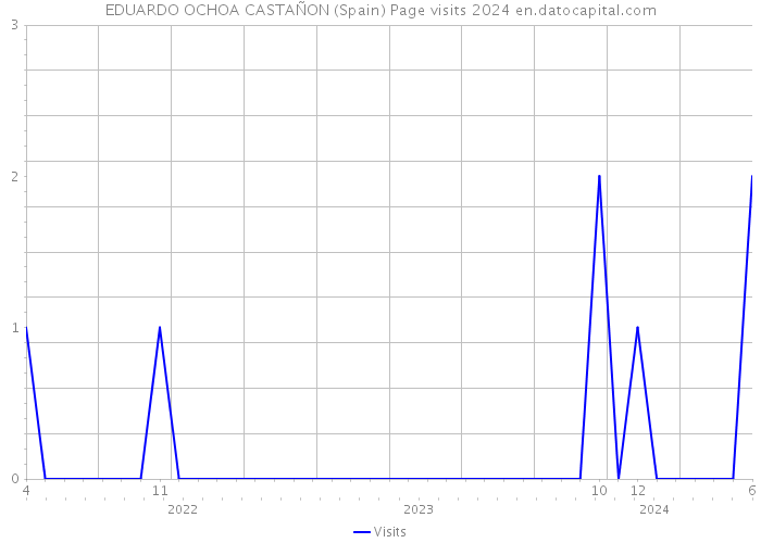 EDUARDO OCHOA CASTAÑON (Spain) Page visits 2024 