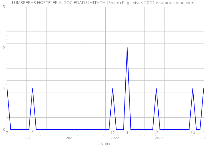 LUMBRERAS HOSTELERIA, SOCIEDAD LIMITADA (Spain) Page visits 2024 