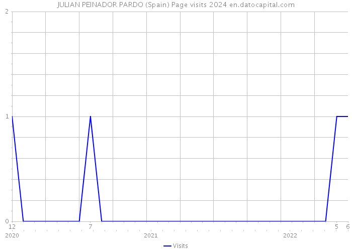 JULIAN PEINADOR PARDO (Spain) Page visits 2024 