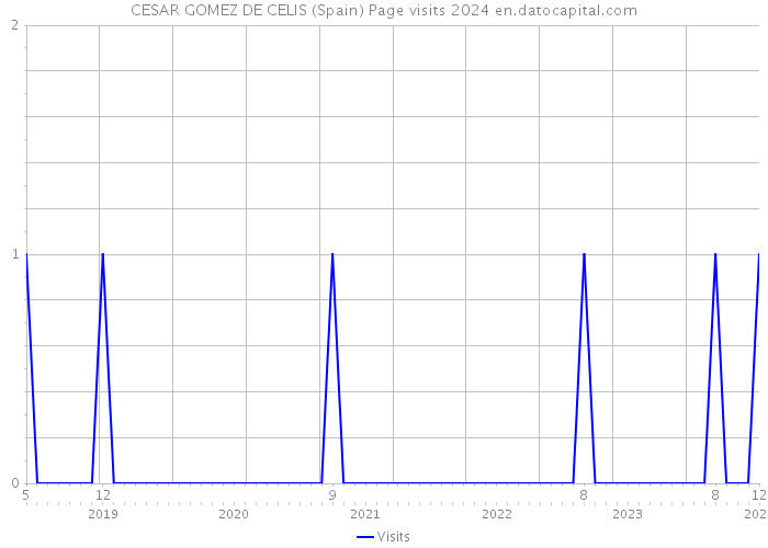 CESAR GOMEZ DE CELIS (Spain) Page visits 2024 
