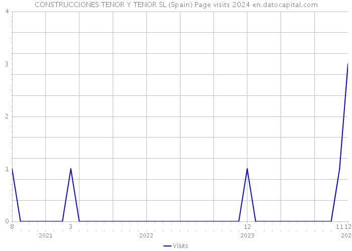 CONSTRUCCIONES TENOR Y TENOR SL (Spain) Page visits 2024 