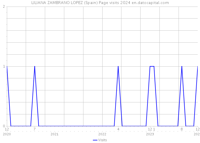 LILIANA ZAMBRANO LOPEZ (Spain) Page visits 2024 