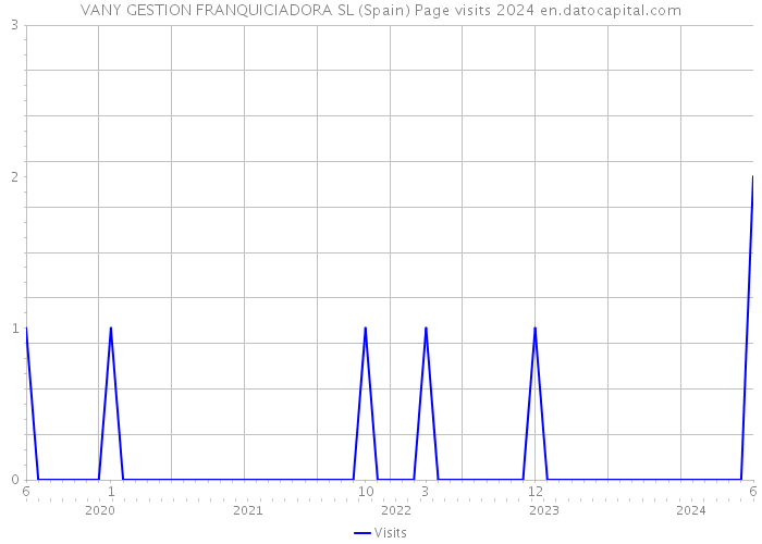 VANY GESTION FRANQUICIADORA SL (Spain) Page visits 2024 