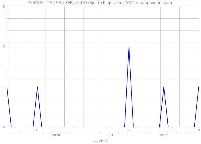 PASCUAL TEIXEIRA BERNARDO (Spain) Page visits 2024 