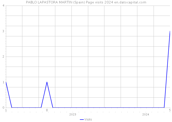 PABLO LAPASTORA MARTIN (Spain) Page visits 2024 