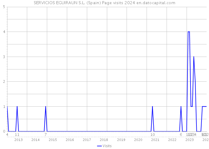 SERVICIOS EGUIRAUN S.L. (Spain) Page visits 2024 