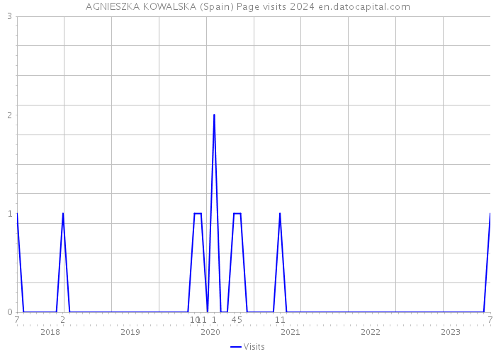 AGNIESZKA KOWALSKA (Spain) Page visits 2024 