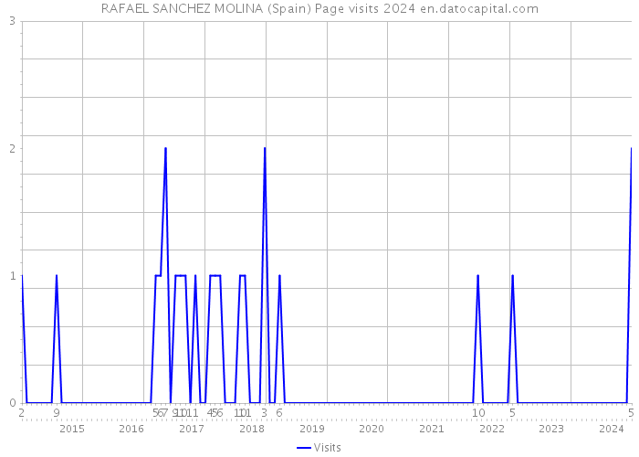 RAFAEL SANCHEZ MOLINA (Spain) Page visits 2024 
