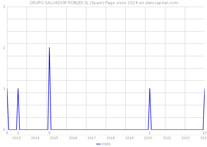 GRUPO SALVADOR ROBLES SL (Spain) Page visits 2024 