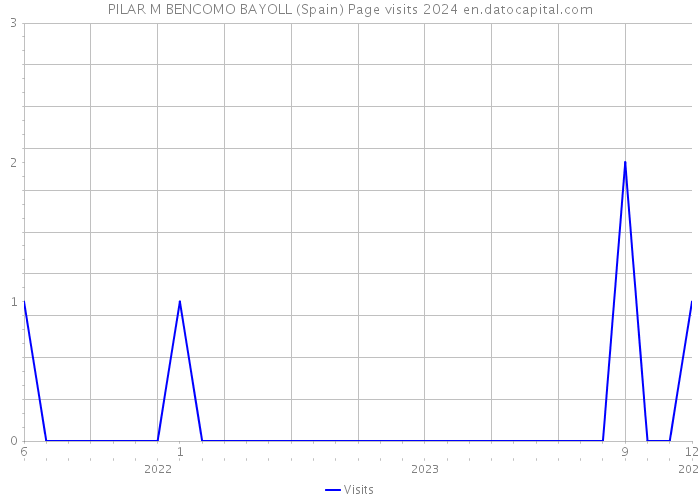 PILAR M BENCOMO BAYOLL (Spain) Page visits 2024 