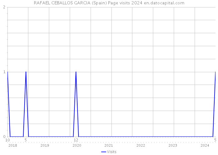 RAFAEL CEBALLOS GARCIA (Spain) Page visits 2024 