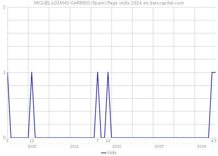 MIGUEL LOZANO GARRIDO (Spain) Page visits 2024 