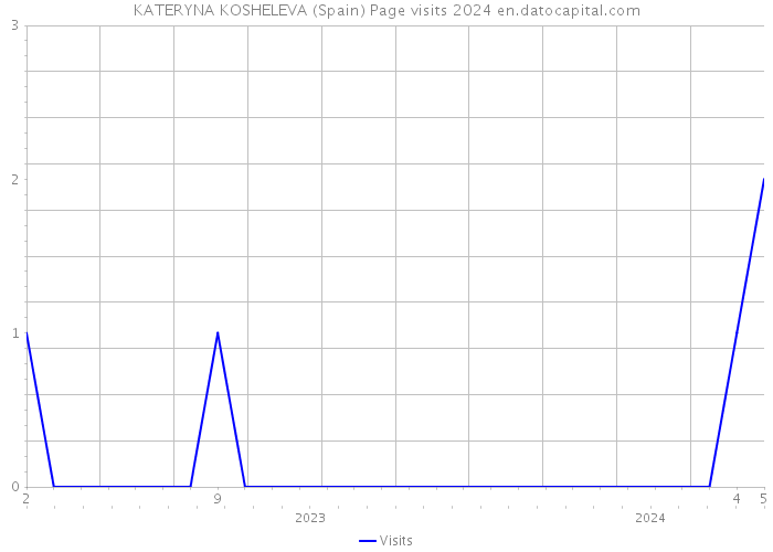 KATERYNA KOSHELEVA (Spain) Page visits 2024 