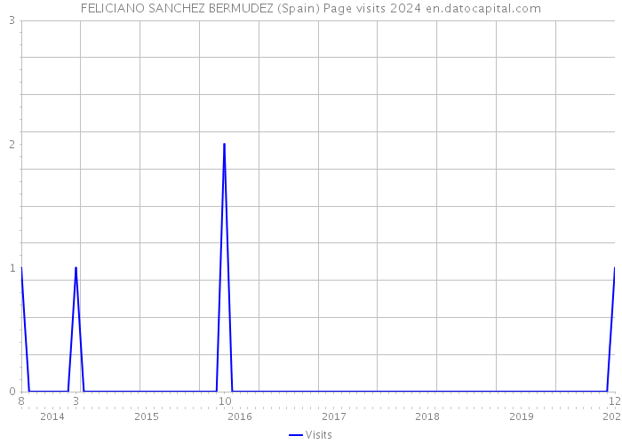 FELICIANO SANCHEZ BERMUDEZ (Spain) Page visits 2024 