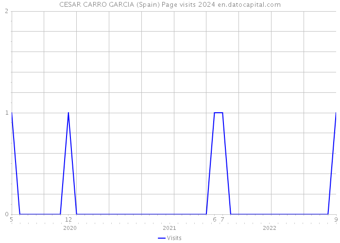 CESAR CARRO GARCIA (Spain) Page visits 2024 