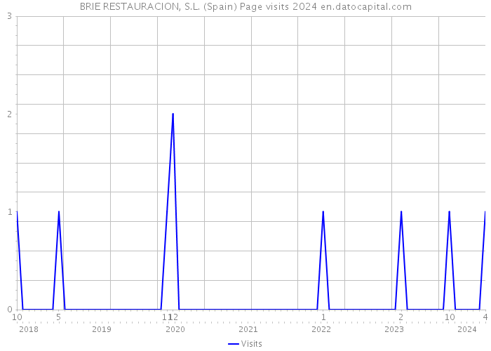 BRIE RESTAURACION, S.L. (Spain) Page visits 2024 