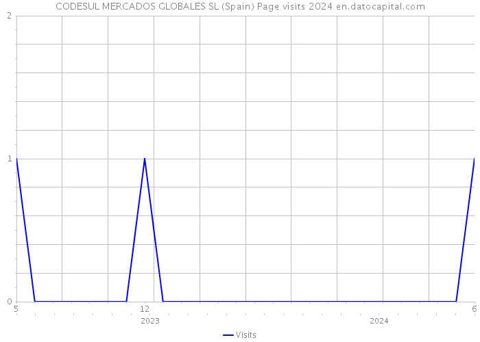 CODESUL MERCADOS GLOBALES SL (Spain) Page visits 2024 
