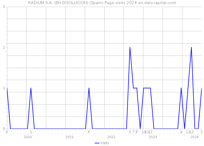 RADIUM S.A. (EN DISOLUCION) (Spain) Page visits 2024 