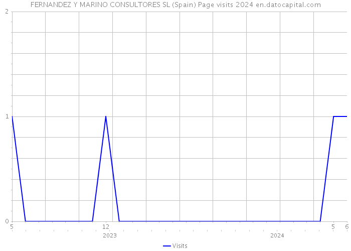 FERNANDEZ Y MARINO CONSULTORES SL (Spain) Page visits 2024 