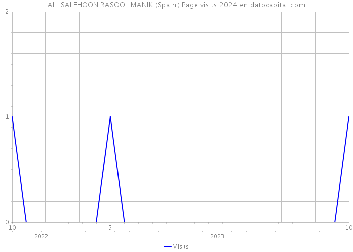 ALI SALEHOON RASOOL MANIK (Spain) Page visits 2024 