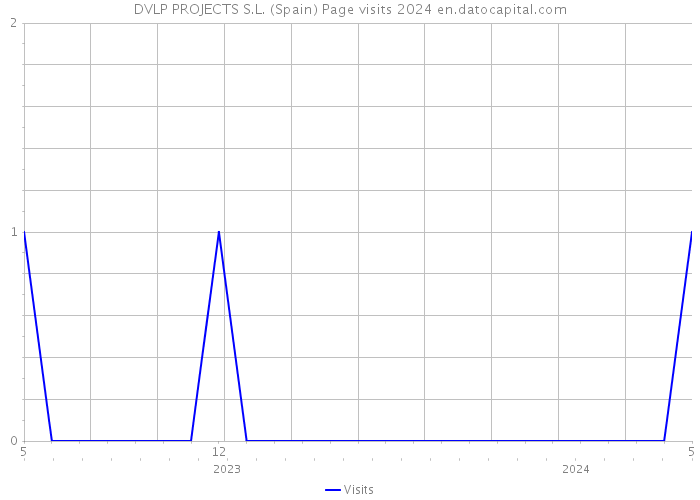 DVLP PROJECTS S.L. (Spain) Page visits 2024 