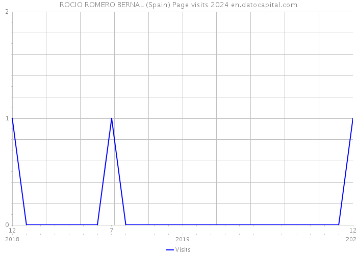 ROCIO ROMERO BERNAL (Spain) Page visits 2024 
