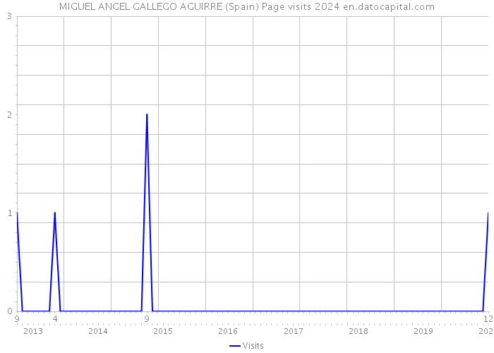 MIGUEL ANGEL GALLEGO AGUIRRE (Spain) Page visits 2024 