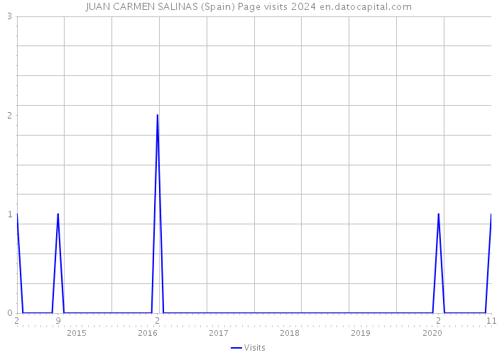JUAN CARMEN SALINAS (Spain) Page visits 2024 