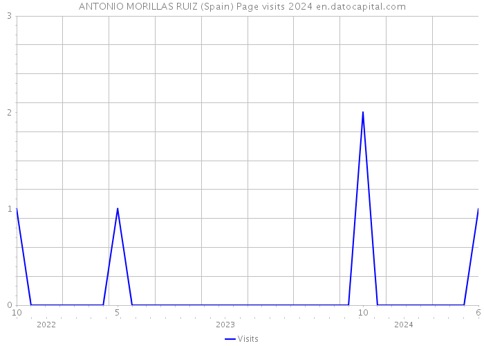 ANTONIO MORILLAS RUIZ (Spain) Page visits 2024 