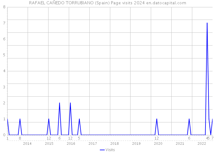 RAFAEL CAÑEDO TORRUBIANO (Spain) Page visits 2024 
