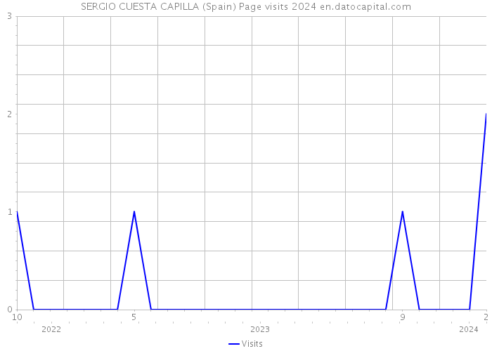 SERGIO CUESTA CAPILLA (Spain) Page visits 2024 