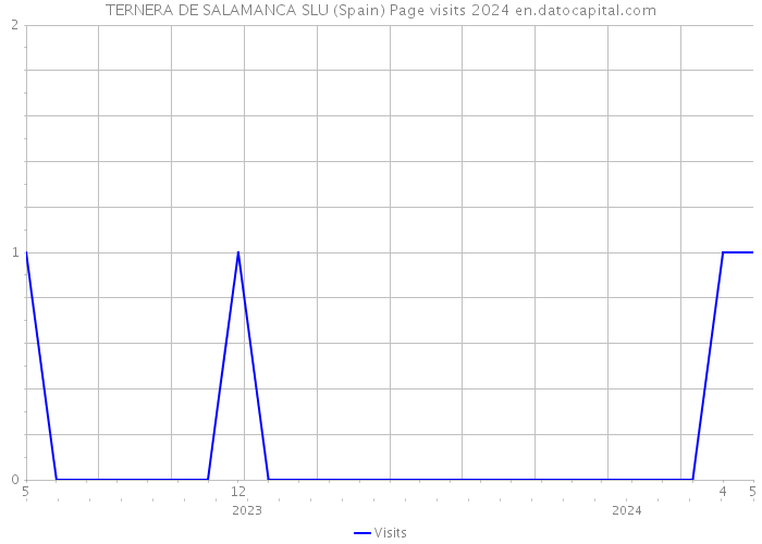 TERNERA DE SALAMANCA SLU (Spain) Page visits 2024 