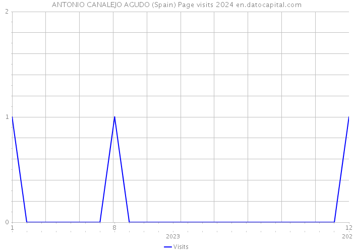 ANTONIO CANALEJO AGUDO (Spain) Page visits 2024 