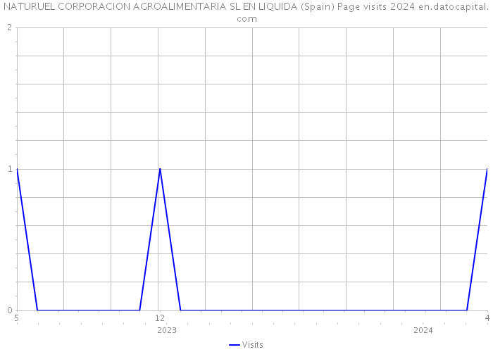 NATURUEL CORPORACION AGROALIMENTARIA SL EN LIQUIDA (Spain) Page visits 2024 