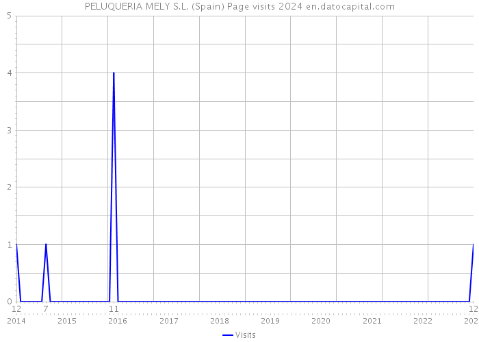 PELUQUERIA MELY S.L. (Spain) Page visits 2024 