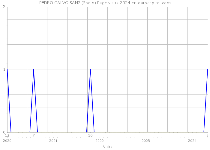 PEDRO CALVO SANZ (Spain) Page visits 2024 