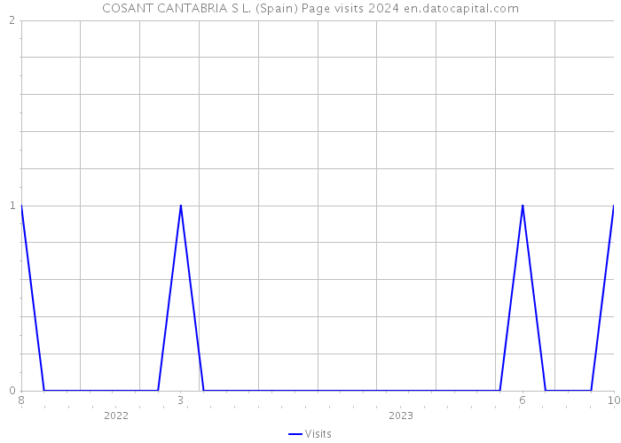 COSANT CANTABRIA S L. (Spain) Page visits 2024 