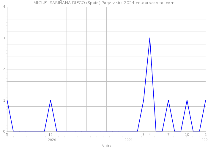 MIGUEL SARIÑANA DIEGO (Spain) Page visits 2024 